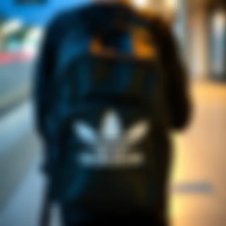 Stylish Adidas backpack for students