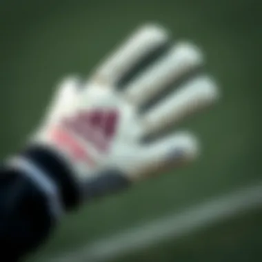 Close-up of the Adidas Predator goalkeeper gloves showcasing their unique design and technology.