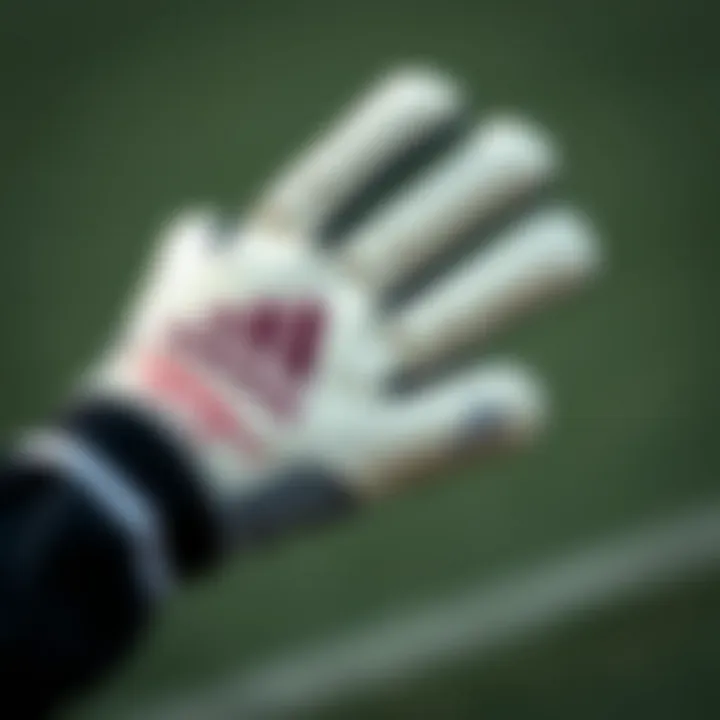 Close-up of the Adidas Predator goalkeeper gloves showcasing their unique design and technology.