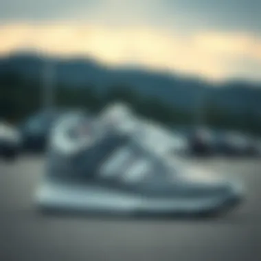 Adidas Retropy E5 Unisex Siyah Spor Ayakkabı: Detaylı İnceleme Summary