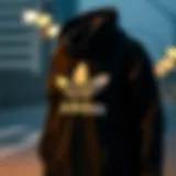 Adidas Terrex sweatshirt showcasing its stylish design