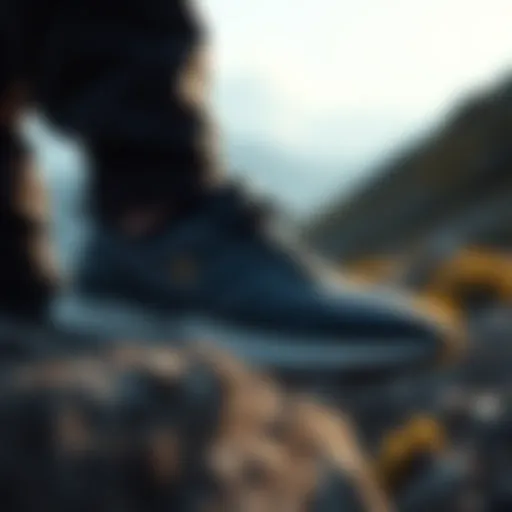 adidas Terrex Swift R2 Gore-Tex İçin En Uygun Seçenekler Introduction