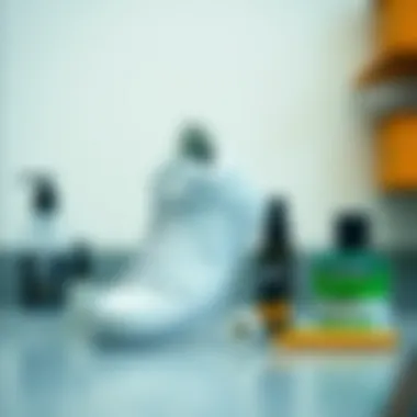 White Nike Dunk displayed with care products for maintenance