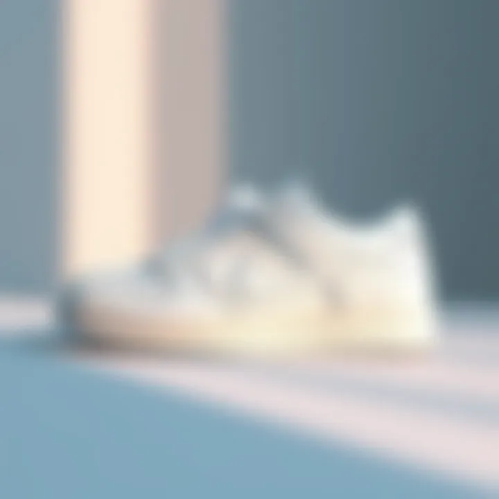 Stylish and modern White Nike Dunk on a minimalist background