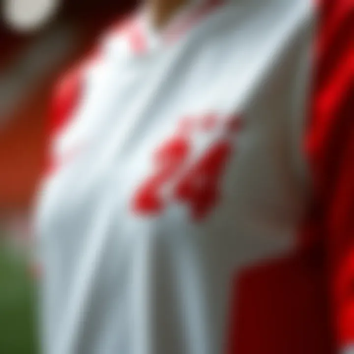 Detailed view of Galatasaray 24 jersey design elements