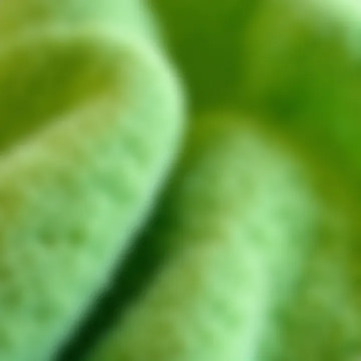 Close-up of fabric texture of high-quality polar fleece