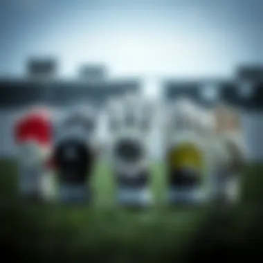 Variety of Goalkeeper Gloves Different types of goalkeeper gloves arranged for comparison