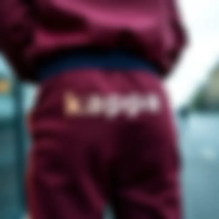 Stylish Kappa tracksuit bottom display