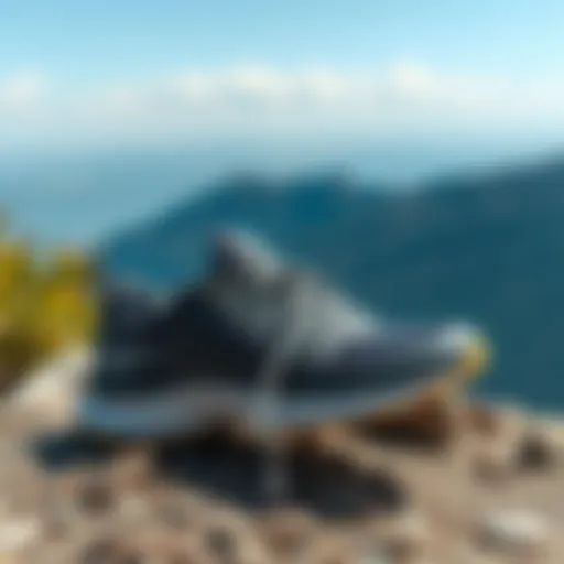 Scenic view of hiking trails with Kuzey Yaban sports shoes