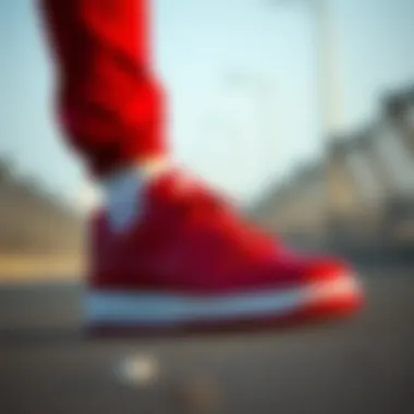 Performance features of Nike Air Red Shoes