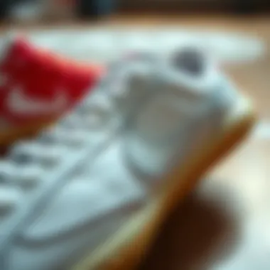 Close-up of the high-quality materials used in Nike Court Legacy Canvas