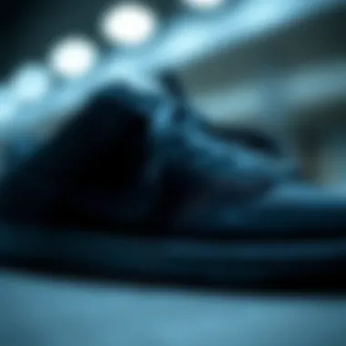 Close-up of Nike Dunk Panda showcasing its unique design elements