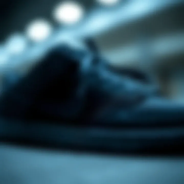 Close-up of Nike Dunk Panda showcasing its unique design elements