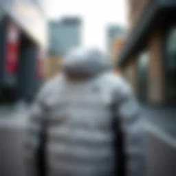 Stylish Nike polar jacket displayed on a modern urban backdrop