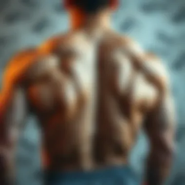 Nutritional elements essential for back muscle health and development.