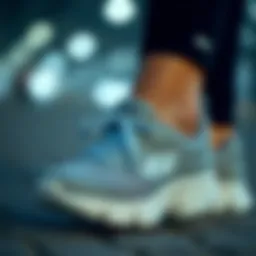 Stylish Skechers shoes showcasing elegant design.