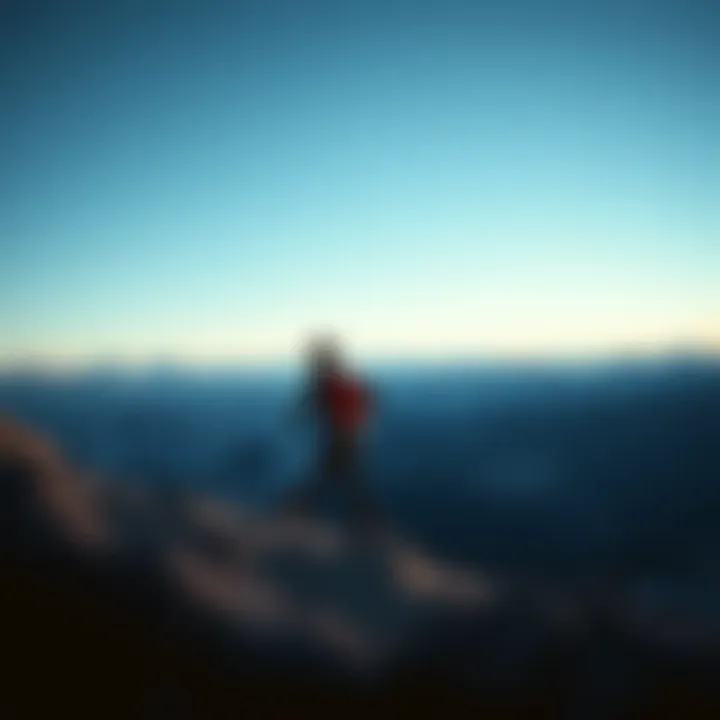 Unmatched Comfort in Every Step Highlighting comfort features of The North Face Vectiv Eminus