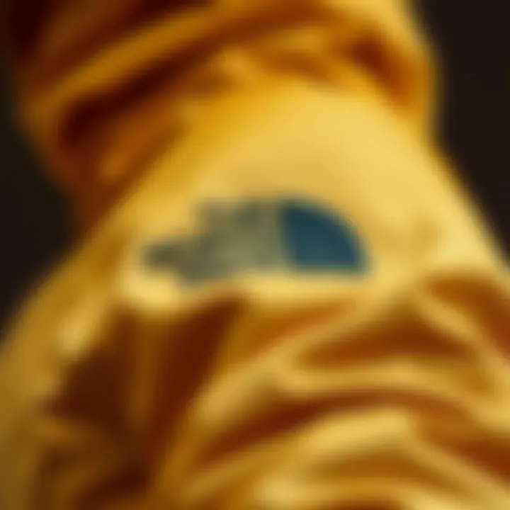 Premium Materials for Enhanced Performance Demonstrating the material quality of The North Face Vectiv Eminus