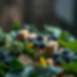 Nutrient-rich sources of zinc